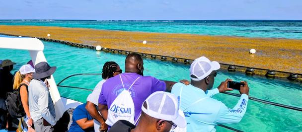 Group of people wearing hats and light shirts on a boat looking at sargassum seaweed.