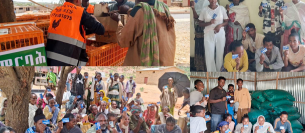 Collage of volunteers in orange vests handing out aid to a crowded rural crowd.