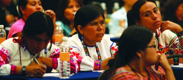 UNDP-MEX-Indigenouspeoples-2012.jpg