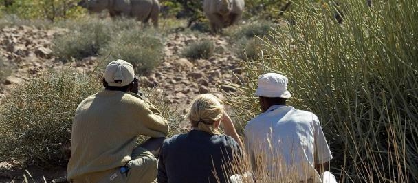 Africa-rhinos-tourism.jpg