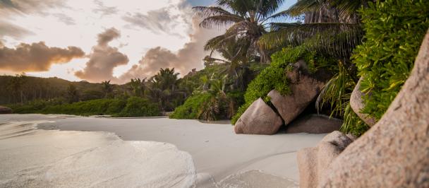 shutterstock-Seychelles-beach-559670830.jpg