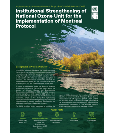 Poster about strengthening the national ozone unit for the Montreal Protocol; river scene with autumn trees.