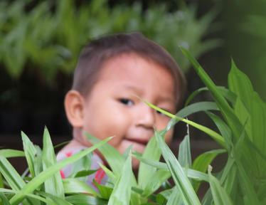 Person among lush green plants in an outdoor garden.