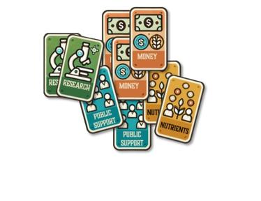 Colorful, fanned stack of small rectangular cards with money icons.