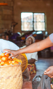 Two women sorting onions at a market stall; wicker basket of onions nearby.
