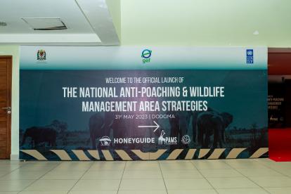 Combat poaching and safeguard wildlife strategies