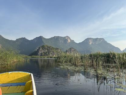 A serene view of mountains reflected in calm water, with lush vegetation along the shore.