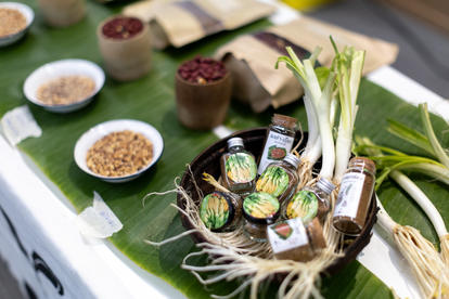 Variety of spices, herbs, and ingredients displayed on a table with green leaves.