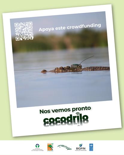 Framed flyer showing a seal on calm water, with a QR code in the corner.