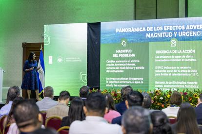 Photograph: Speaker at podium addressing a conference, with green backdrop panels and an audience.