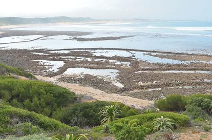Coastal hillside with green shrubs overlooking rocky shoreline and tidal pools.