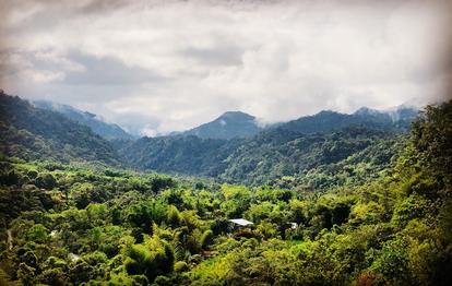 Lush green valley with dense trees and distant mountains under a cloudy sky.