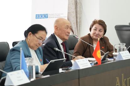 Panelists in a formal meeting sit at a long conference table with microphones and small flags.