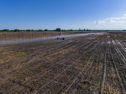 Photograph of a flooded field with furrows, posts, and distant tree line under a blue sky