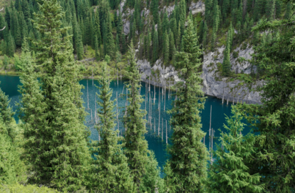 Turquoise lake framed by evergreen trees and rocky cliffs.