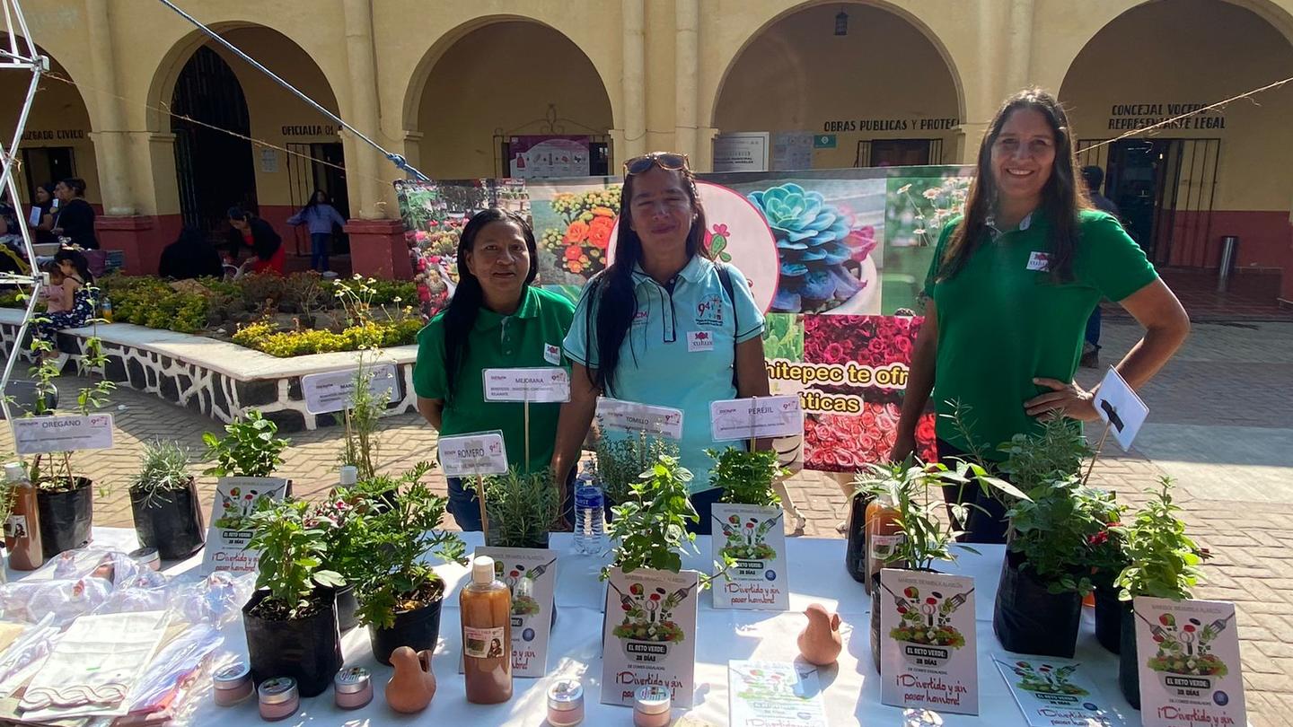 Three women stand behind a table showcasing potted plants at a market. Bright setting.