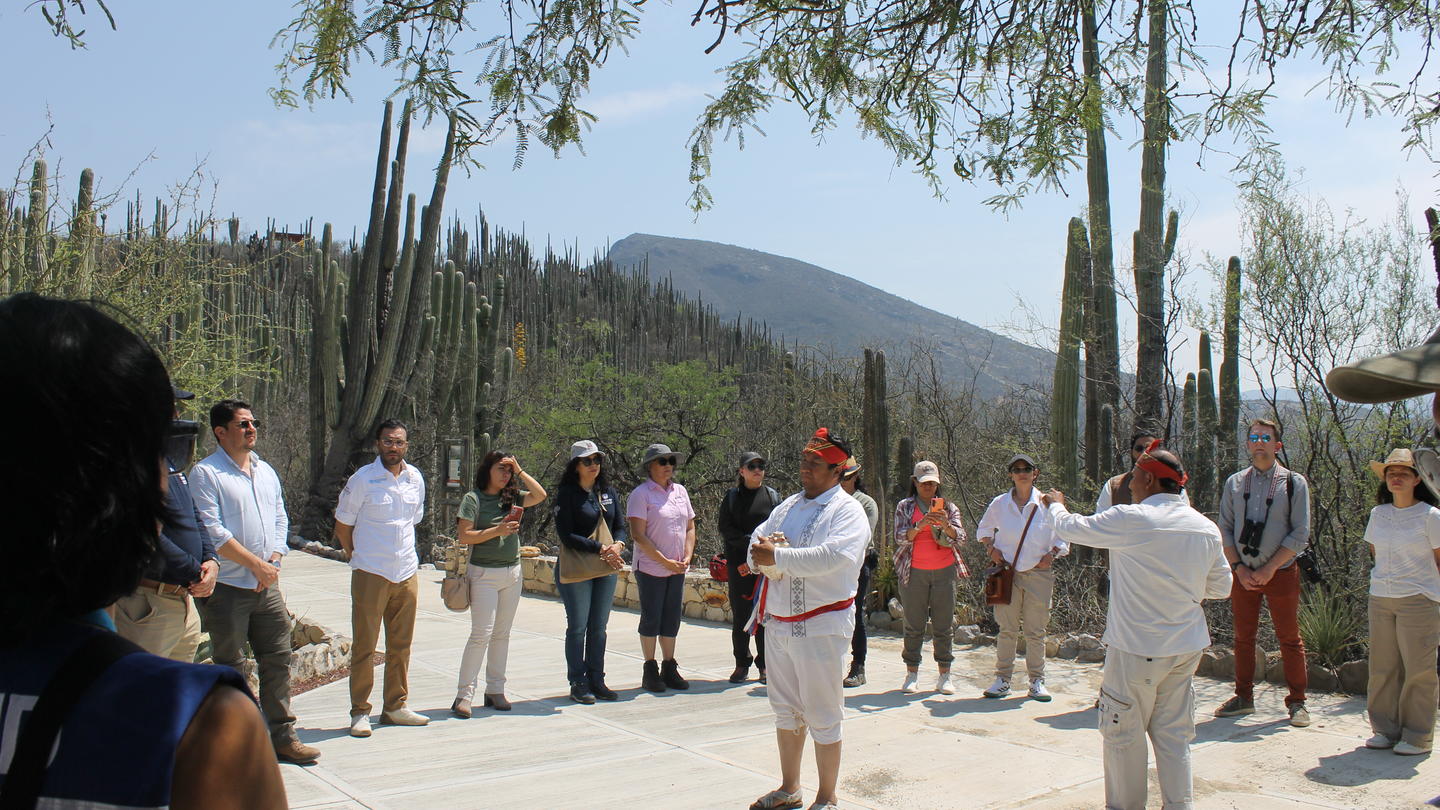 Group of people gathered in a sunny desert courtyard, watching someone on the ground.
