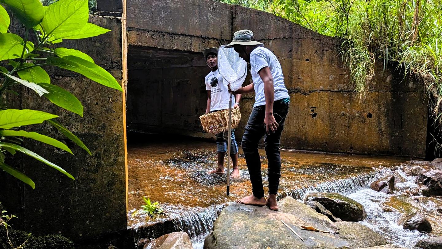 Two people walk across a rocky stream beside a concrete culvert in a lush, sunny setting.