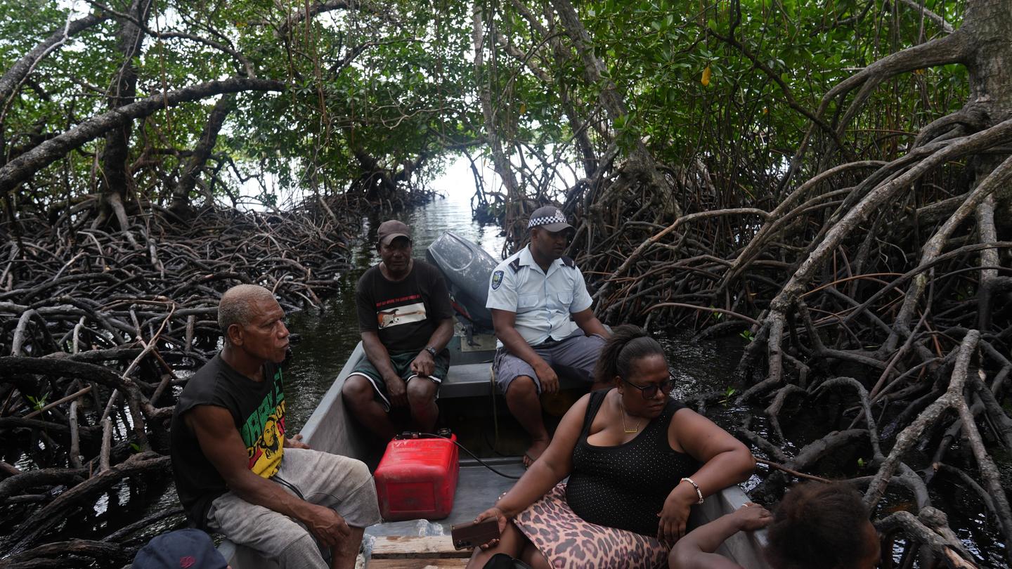 Group of people sitting under a shelter formed by mangrove roots, gathered around a small table.