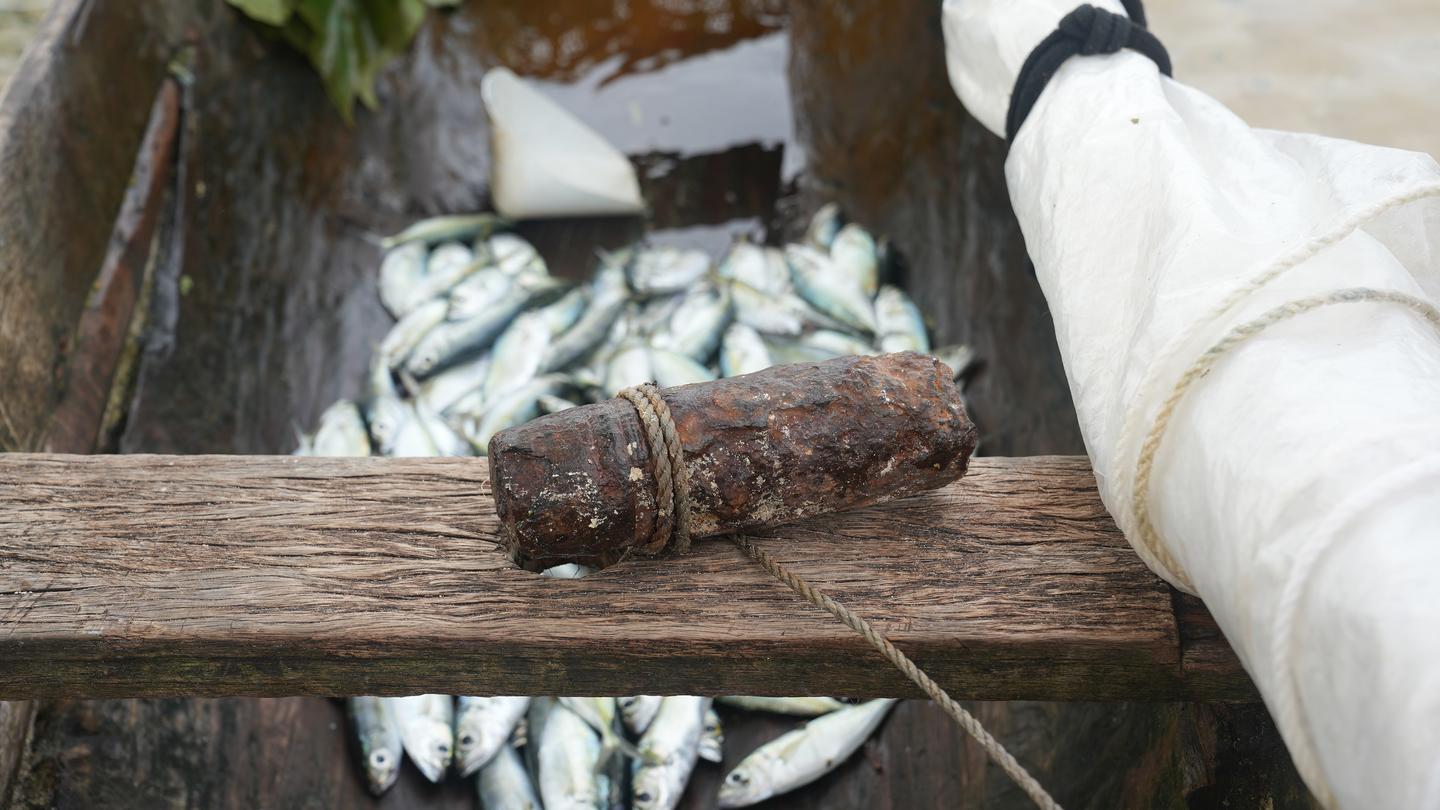 Small fish laid on a wooden board with a gloved hand nearby and herbs.