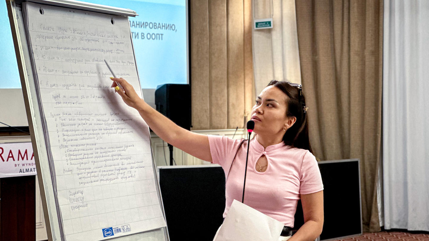 Photograph of a woman in a pink top pointing to a flip chart during a conference.