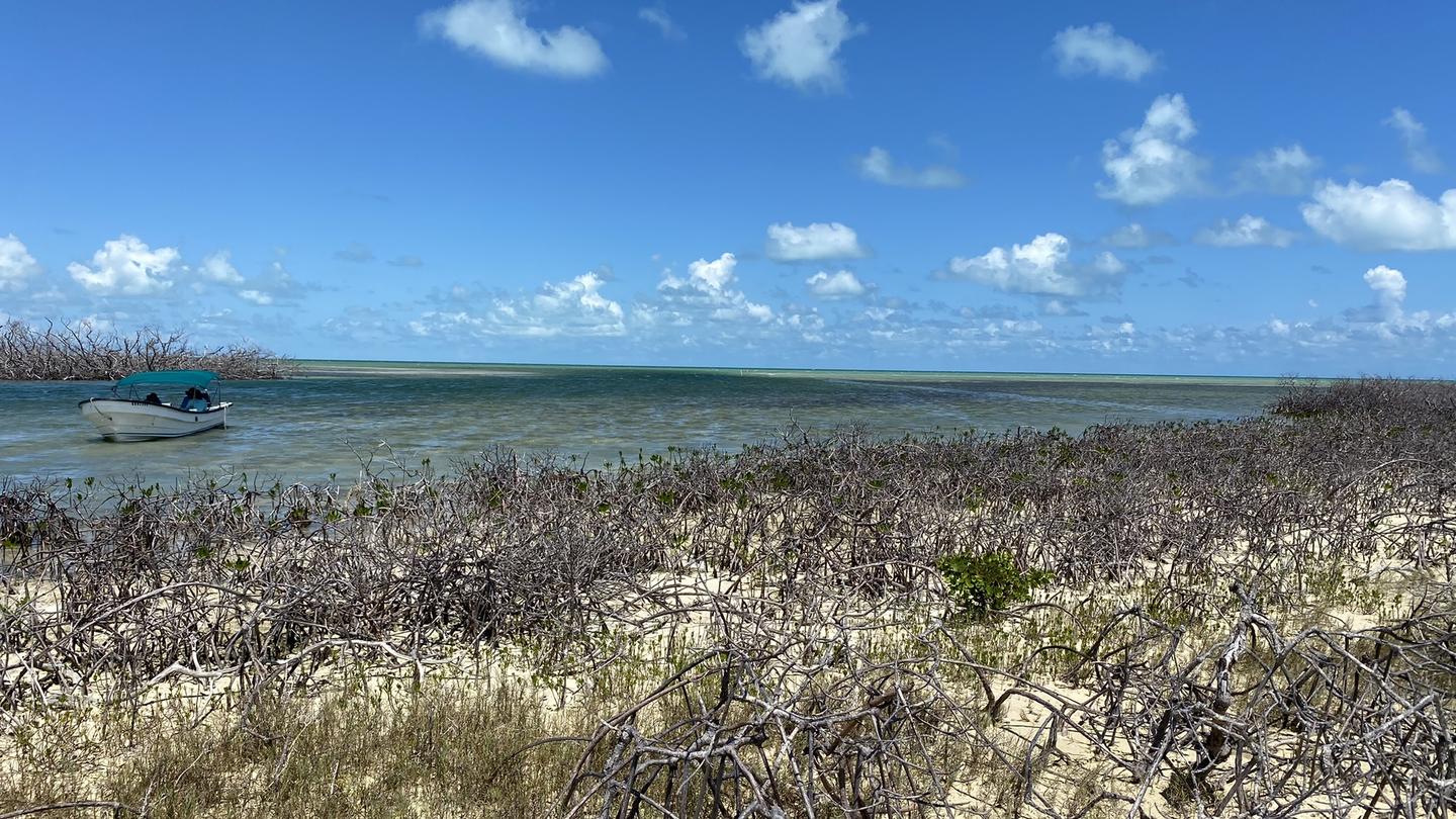Dunes with damaged mangroves and grasses frame a turquoise sea beneath a bright blue sky with clouds.