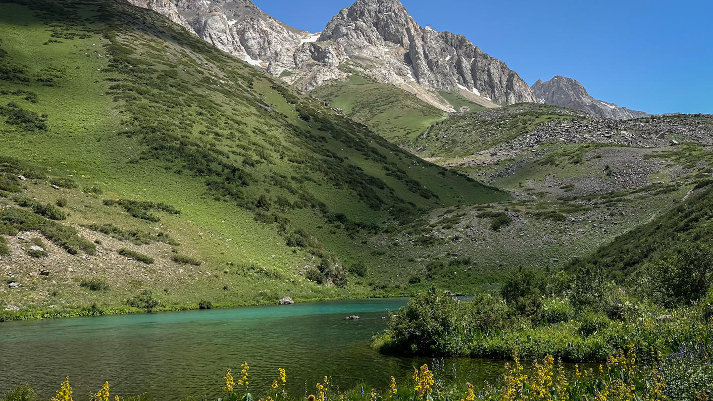 Photograph of a mountain valley with green hillside, blue lake, and wildflowers in foreground.