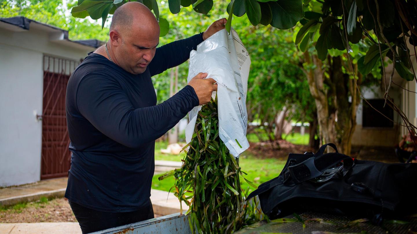 Bald man in a dark shirt holds a plastic bag outdoors beside a wheelbarrow.