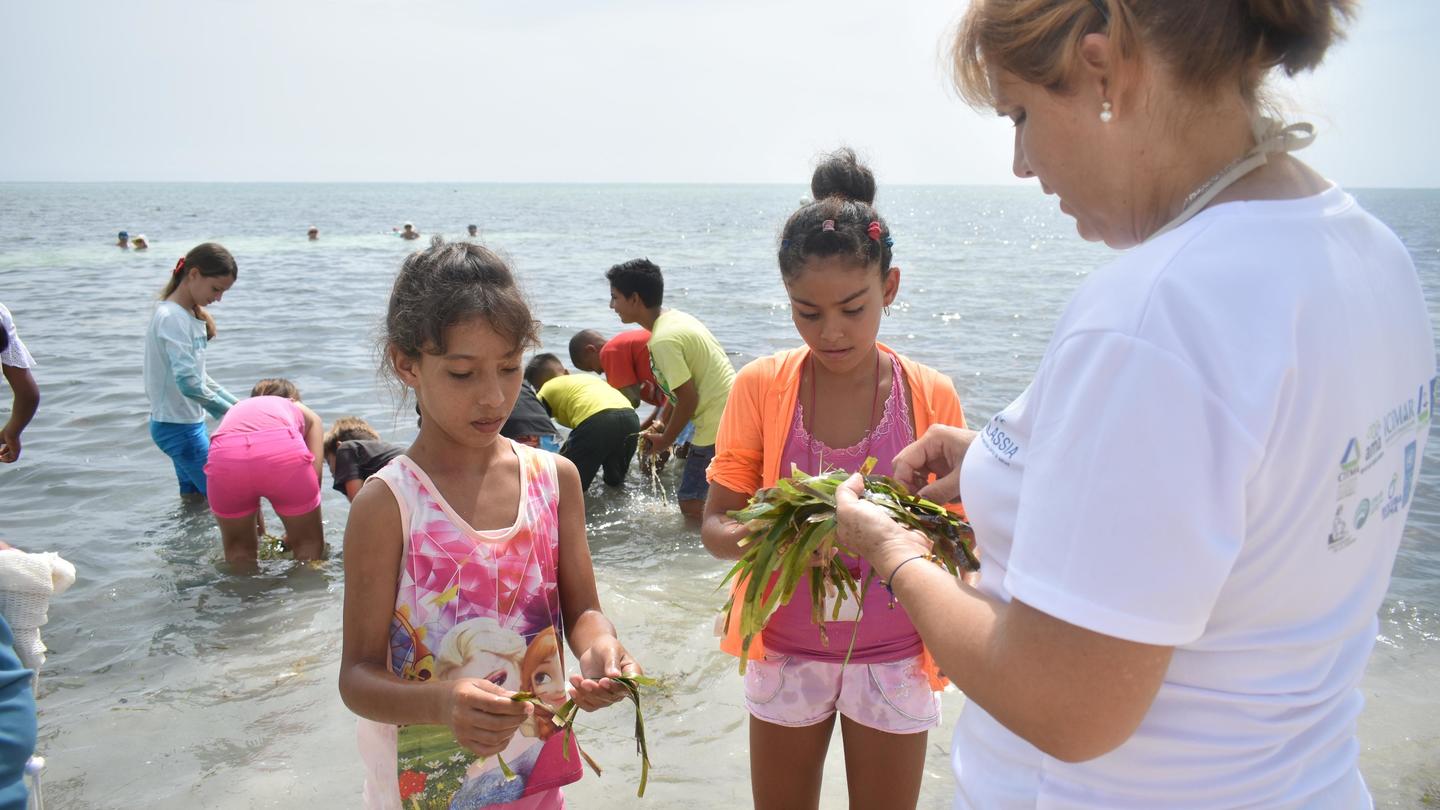 Children on a sunny beach gather around a guide showing seaweed.
