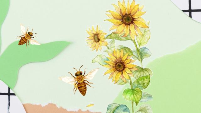 a close up of a flower and a bee over a collage paper background