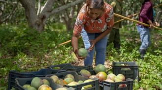 Un grupo de personas sentadas en un puesto de frutas