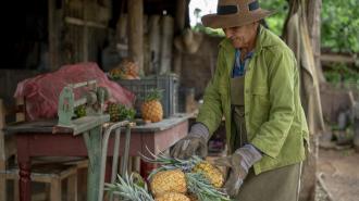Una persona parada frente a un puesto de frutas