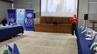 Conference room with blue tablecloths and flags; projector shows a speaker; a woman in red near the stage.