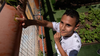 Photograph of a young boy in a white shirt climbing a metal fence outdoors.