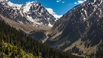 Snow-capped mountain peaks loom over a pine forest in a green valley under a blue sky.