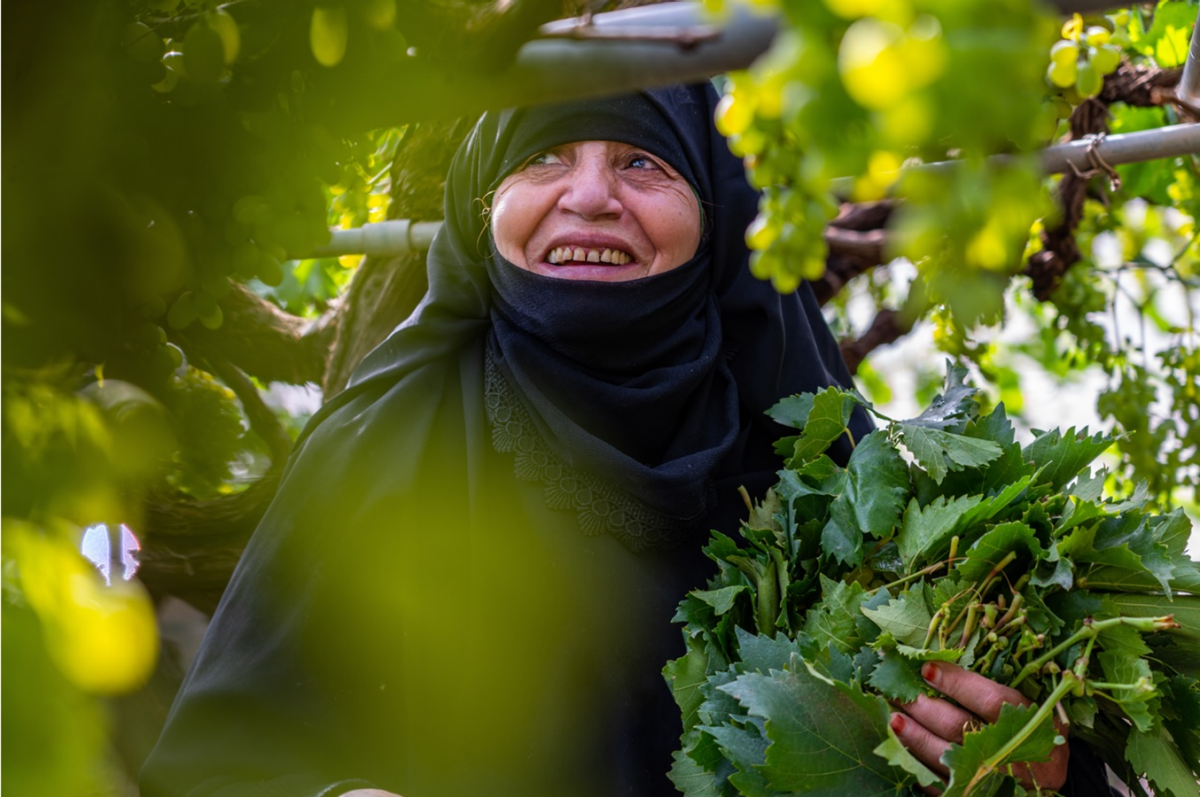 yemen