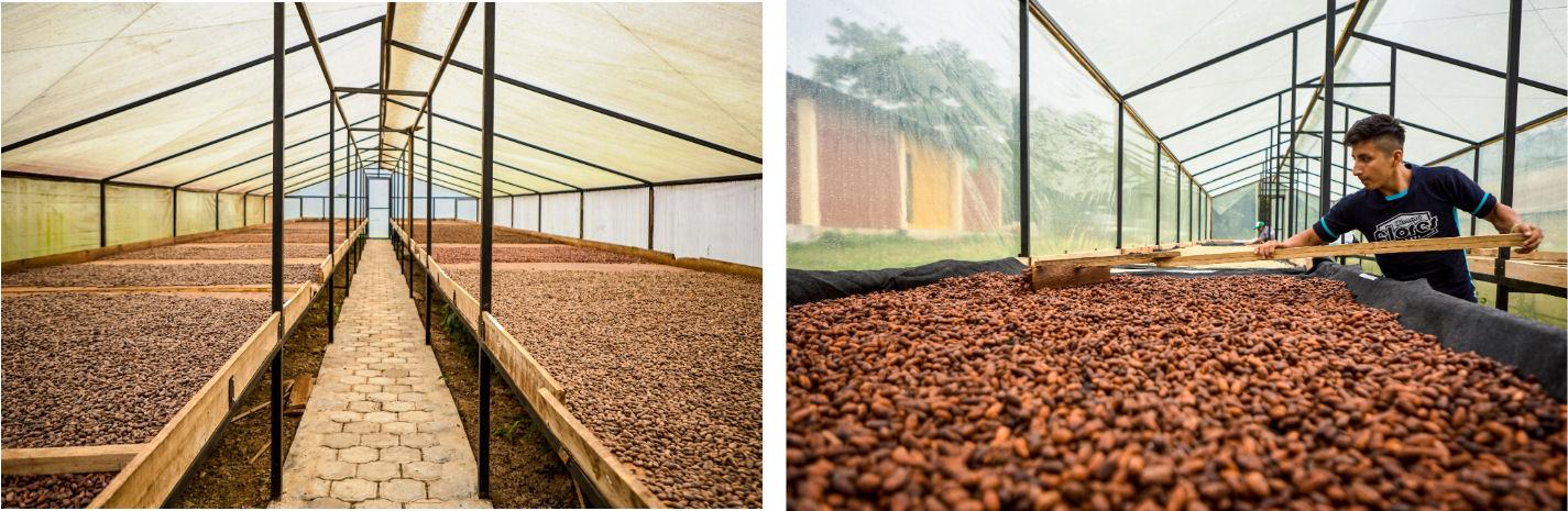 cocoa in the Marquesina