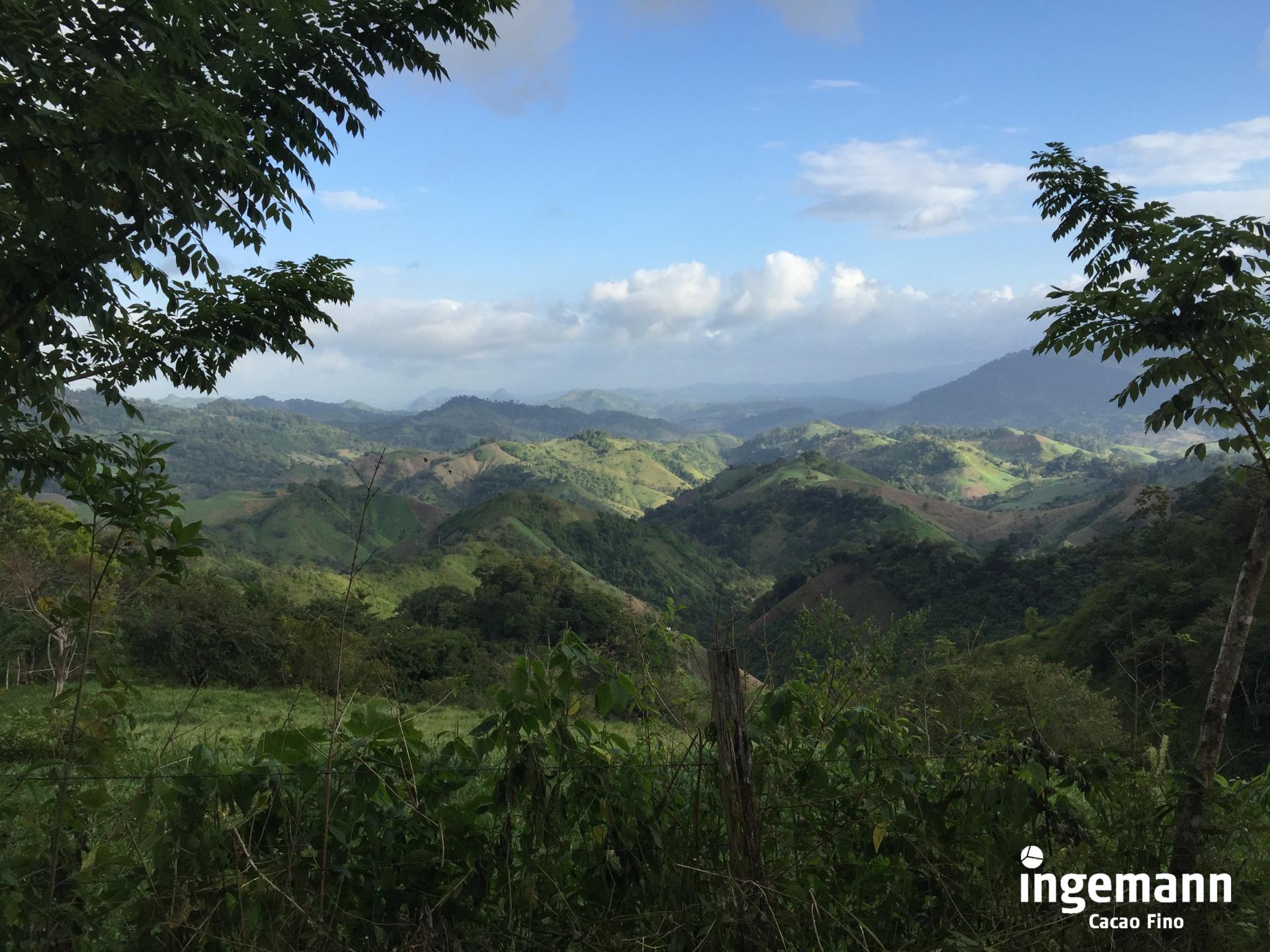 View over hills in the jungle