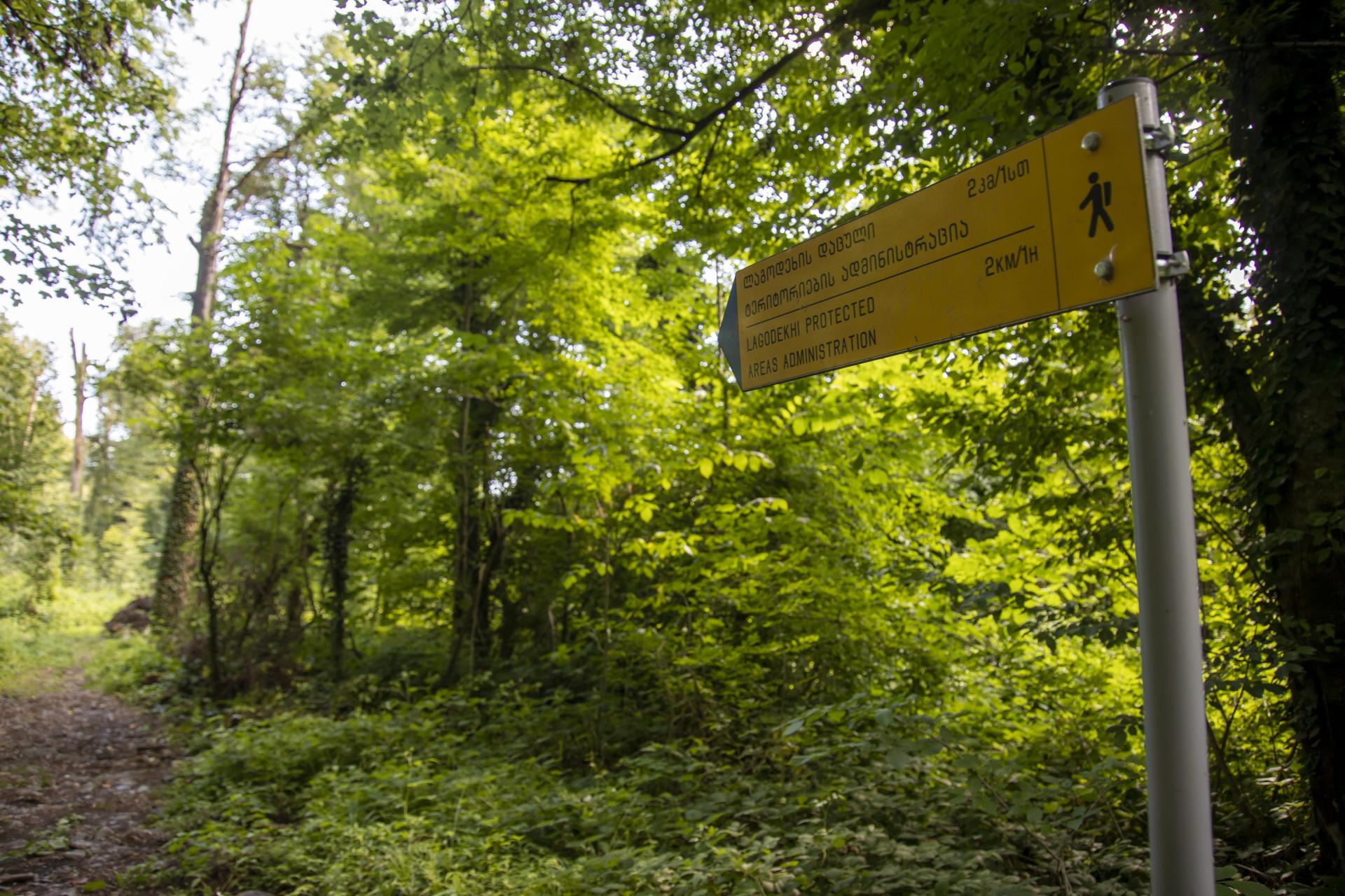 Lagodekhi Protected Areas