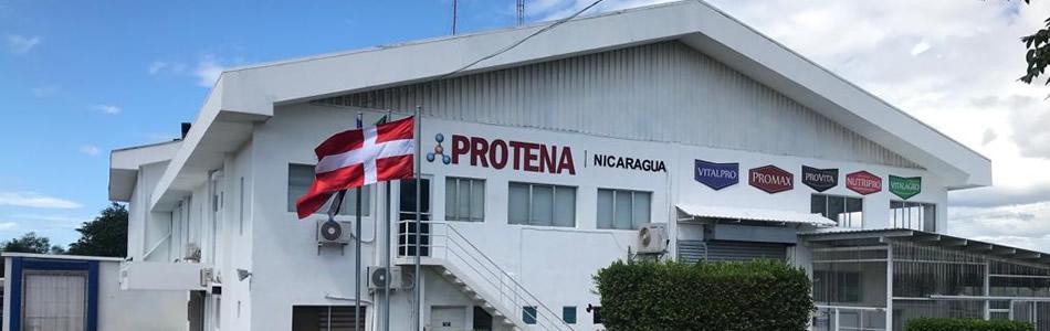 House with Danish flag in front of