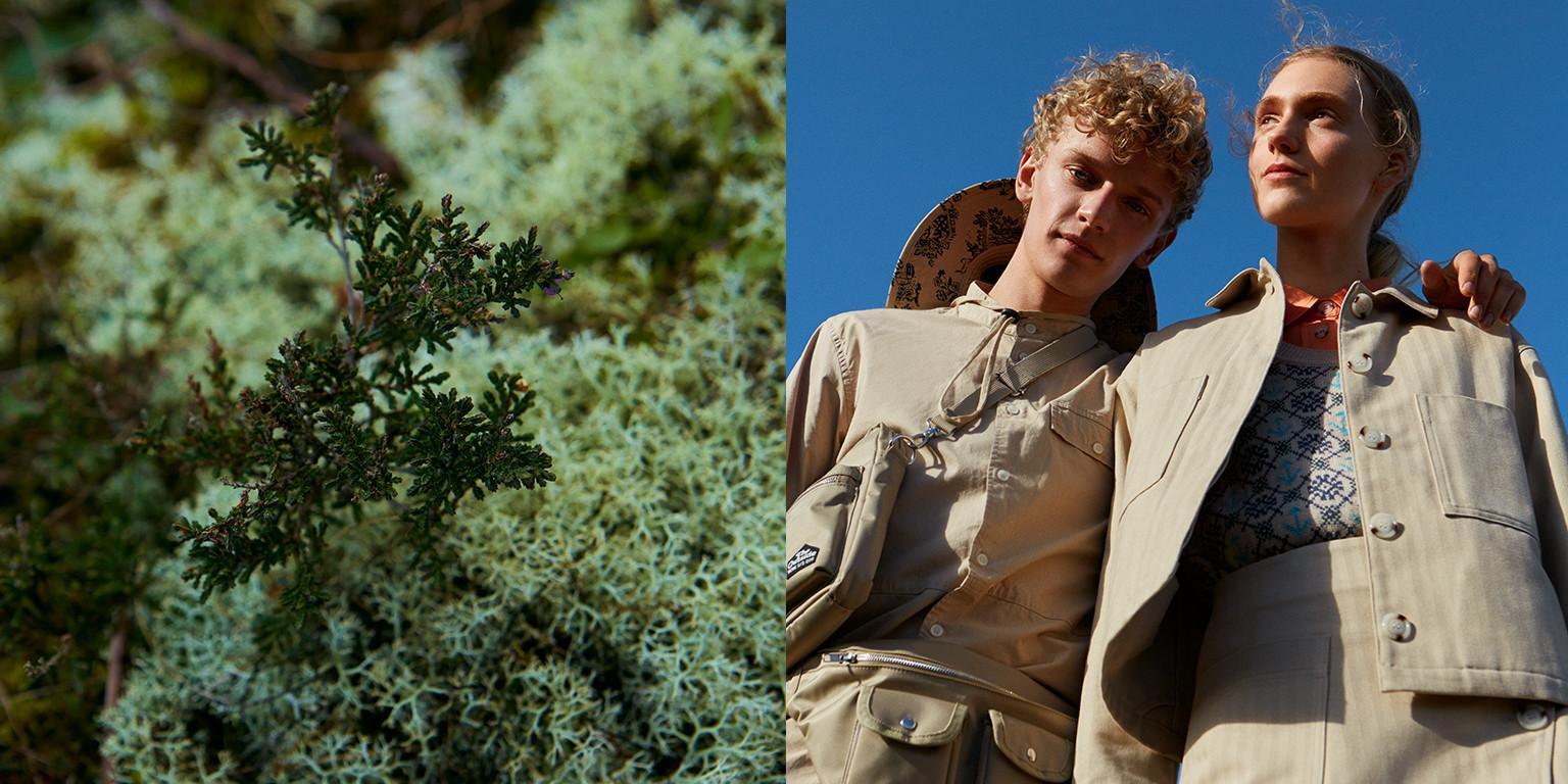 Moss and people modeling
