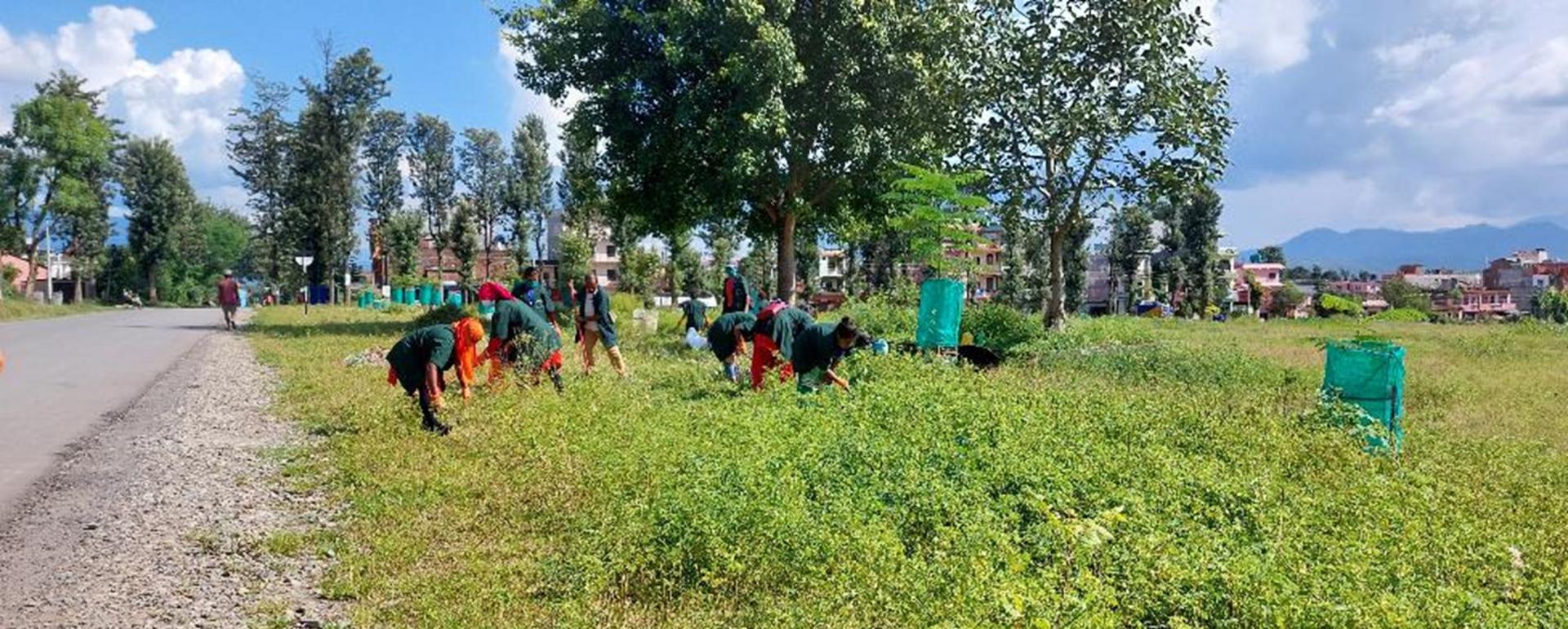 People working in a farm
