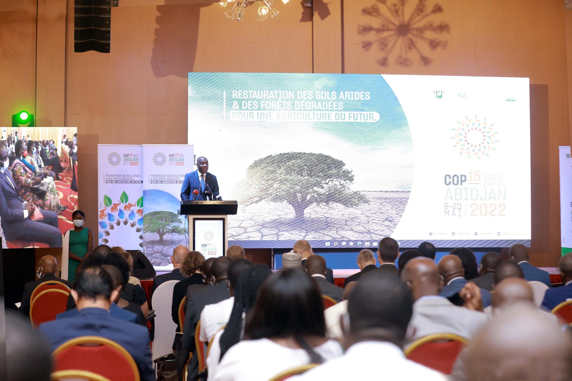 Le Ministre de l'environnement au pupitre lors du sommet des chefs d'Etats sur la desertification