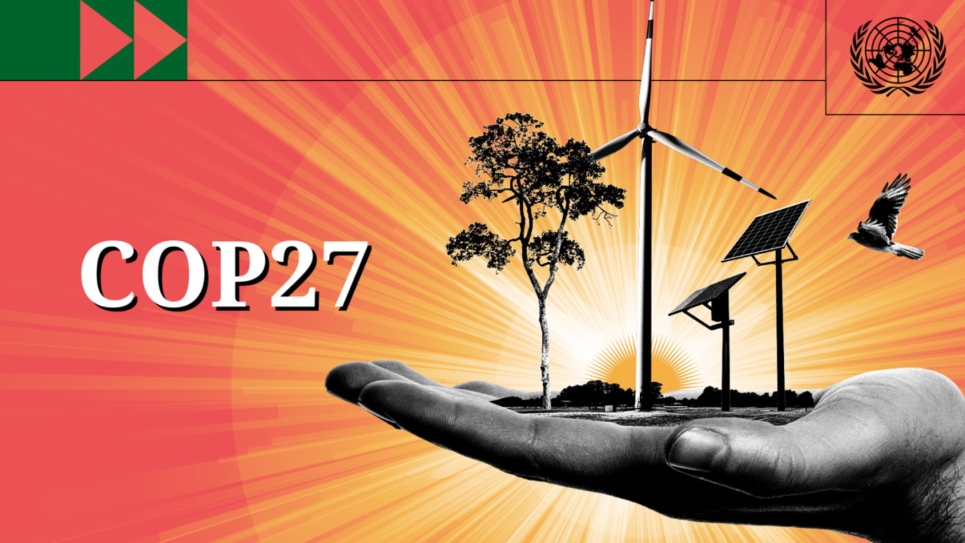 cop27 banner
