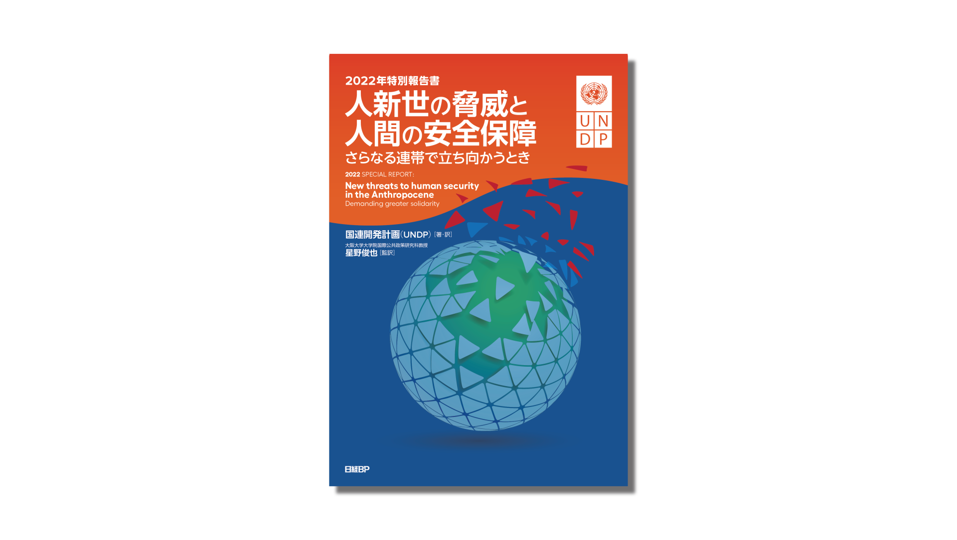 human security report cover
