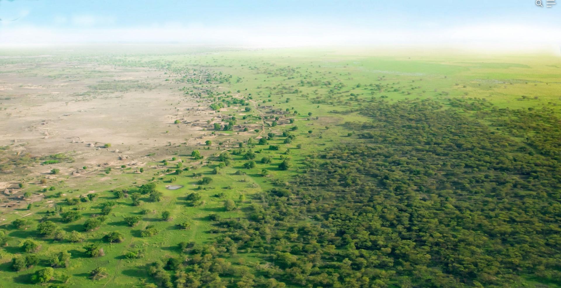 Arial view of the Great Green Wall