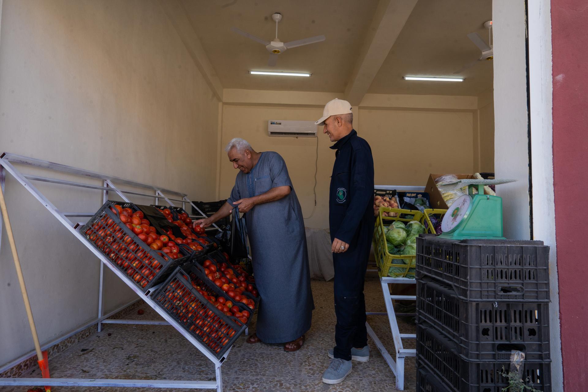 UNDP_IQ_AlShouraMarkets3