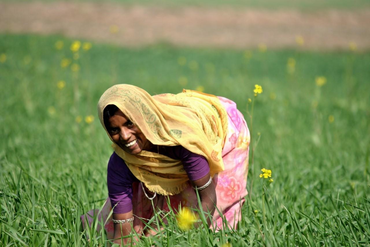 A woman in a field of flowers