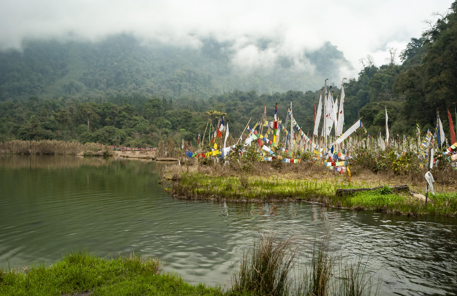 Lake in the mountains