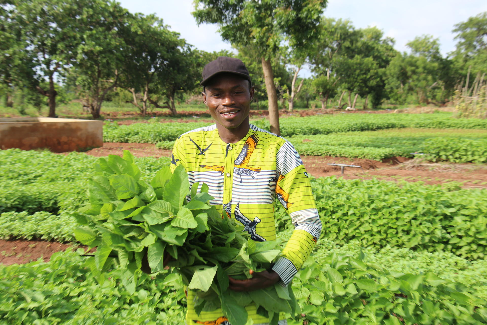 Un jeune entrepreneur agricole sur un site maraîcher